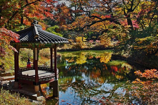 昌徳宮 予約ガイド: 韓国の美と歴史を体感しよう 창덕궁