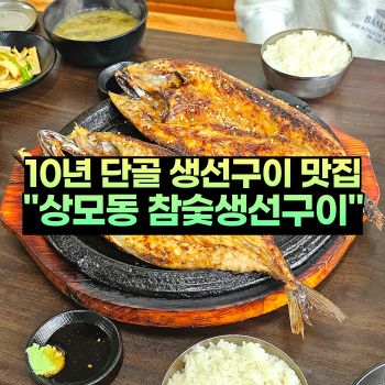 구미 현지인 맛집 참숯생선구이 10년 단골 식당 고등어 점심 후기