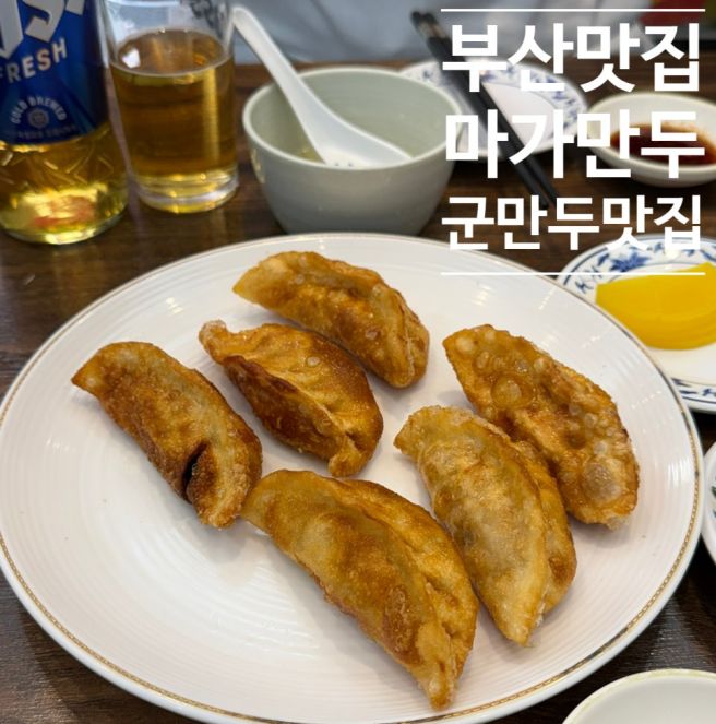 부산역 차이나타운 맛집 마가만두 후기 (군만두·찐만두 웨이팅 방문기)