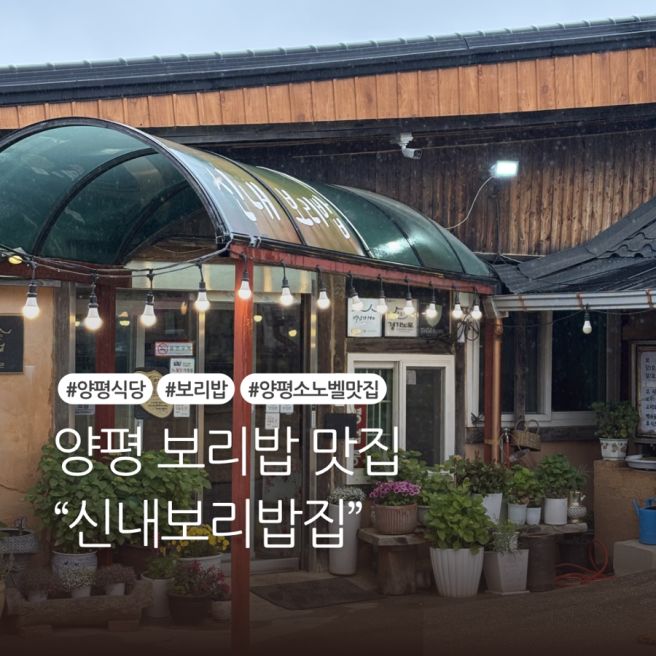 양평 보리밥 맛집 신내보리밥집 소노벨 근처 점심 추천