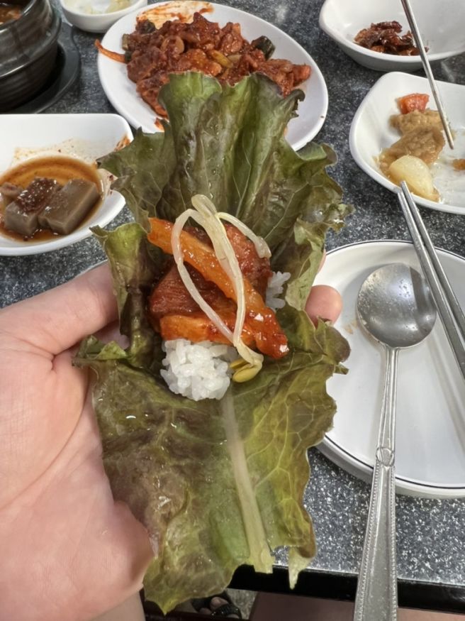 경산 영남대 백반 맛집 감나무집식당 내돈내산 돼지두루치기 후기