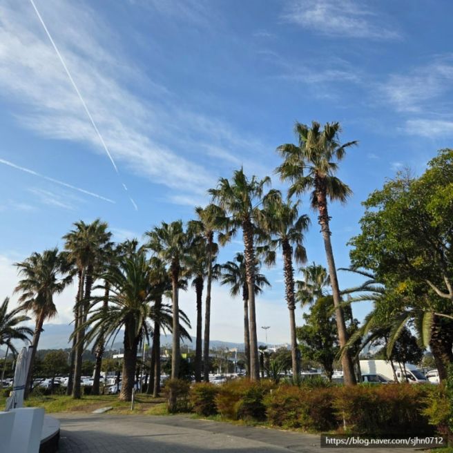 제주공항 근처 맛집 파도식당 멸치국수