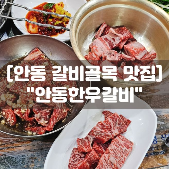 안동갈비맛집 안동한우갈비 생갈비 양념갈비 현지인 생생후기