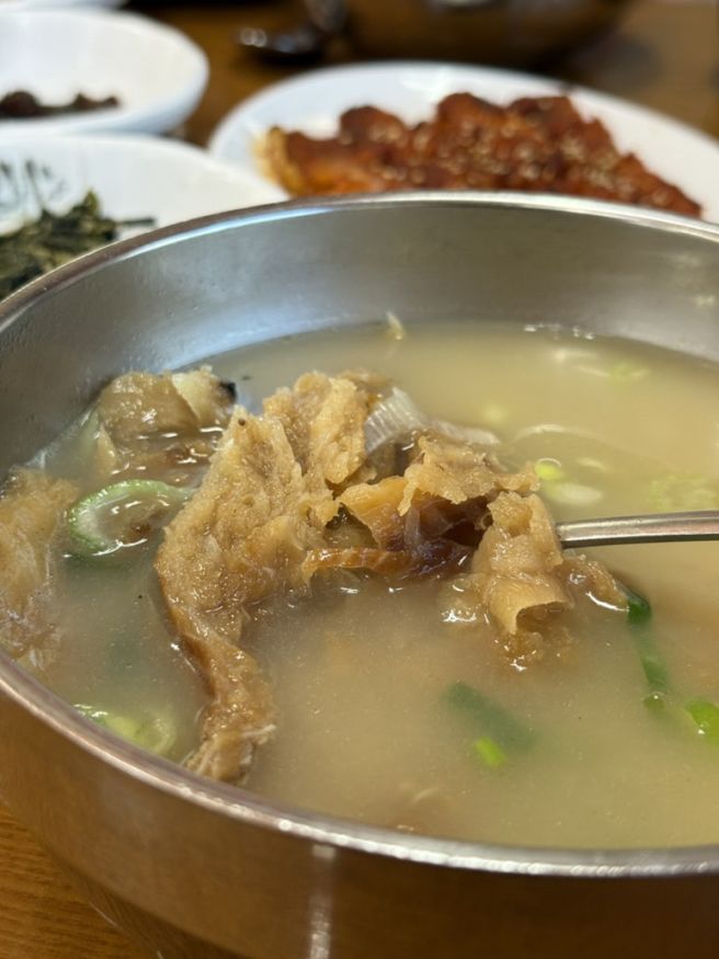 고성 맛집 용바위식당 인제군 미시령 황태정식 맛집 내돈내산 솔직 후기