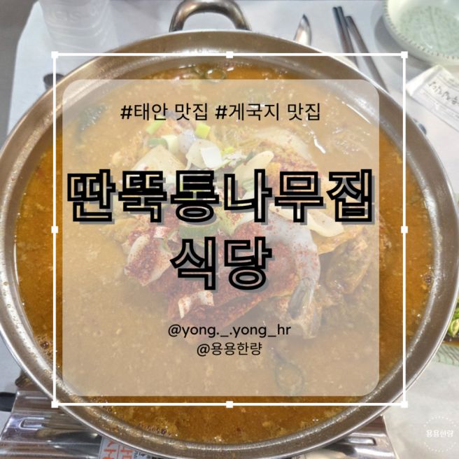 태안 게국지 맛집 추천, 가족여행 중 찾은 딴뚝통나무집식당 솔직후기 [딴뚝통나무집식당]