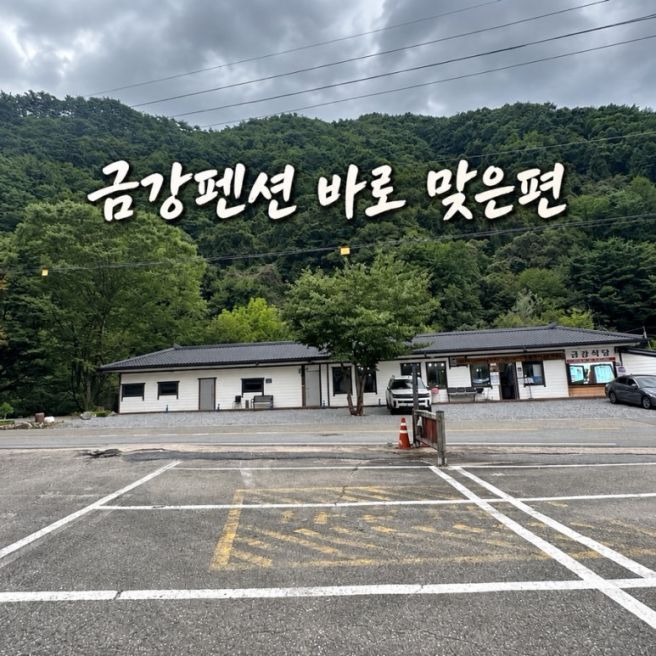 단양 영춘면 맛집 금강식당｜금강펜션 맞은편 아침식사·산채더덕백반 후기