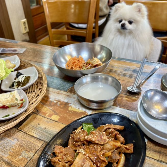 가창 애견동반 식당 “할매집식당” 강아지랑 식사 가능한 곳