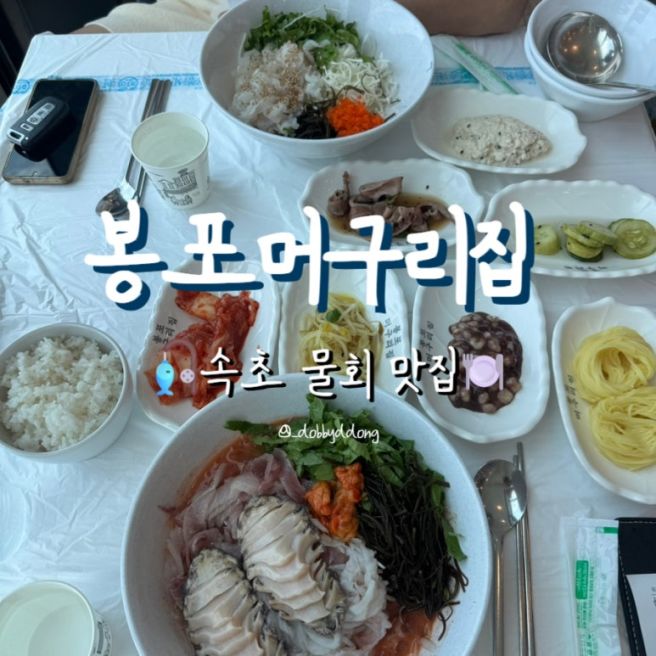 [속초] 봉포머구리집 물회 맛집_속초 3대 물회집