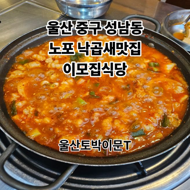 울산 중구 성남동 노포 낙곱새맛집)이모집식당