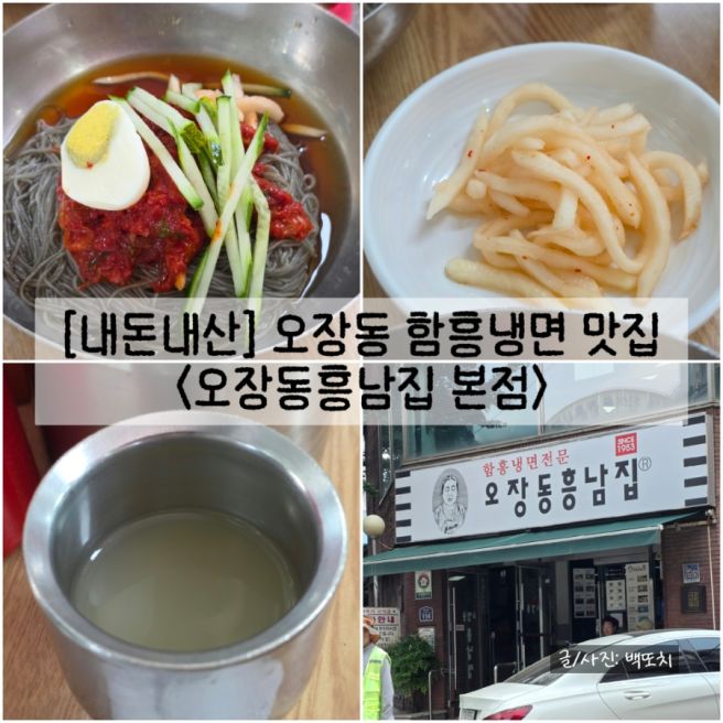 [서울/중구] 오장동 함흥냉면 맛집 "오장동흥남집 본점" 내돈내산 솔직후기