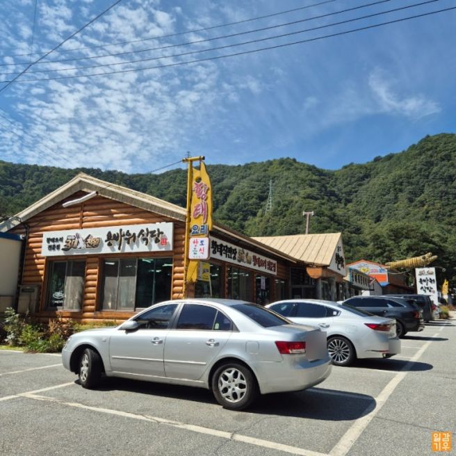 강원도 황태요리 원탑 인제맛집 [용바위식당] 내돈내산