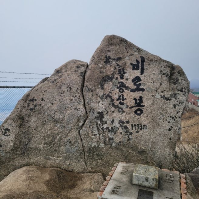 [경북 영천시 맛집] 포항할매집