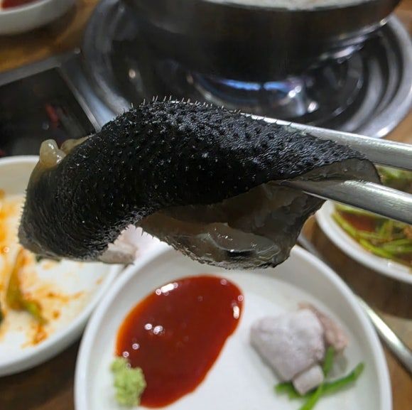 < 부산 어시장 남해 복국 > SINCE 1973 50여 년 노포 가성비 최고 참복 사시미 샤브샤브 튀김 죽 코스를...