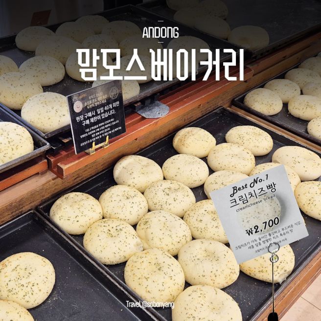안동 맘모스제과 베이커리 본점 유자파운드 크림치즈빵