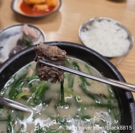 일산 시장 맛집 일산역 순댓국 맛집 오소리탕 문산순대국