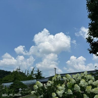 경북 영주 카페) 사느레정원, 아이랑 가기 좋은 식물원이 있는 카페