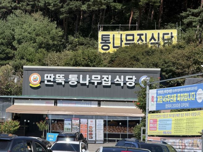 태안 게국지 맛집, '딴뚝통나무집식당' Ι 게국지 먹으러 일부러 찾아가는 맛집[내돈내산]