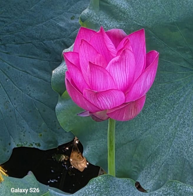 ♣ 백두대간 구간(미답지/山)산행:경북 영주시, 봉화군 일원 "선달산+갈곶산+봉황산/부석사(卍...