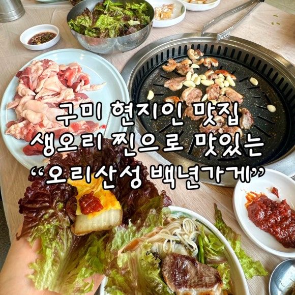 구미 오리고기 맛집 오리산성 백년가게 생오리 현지인 추천