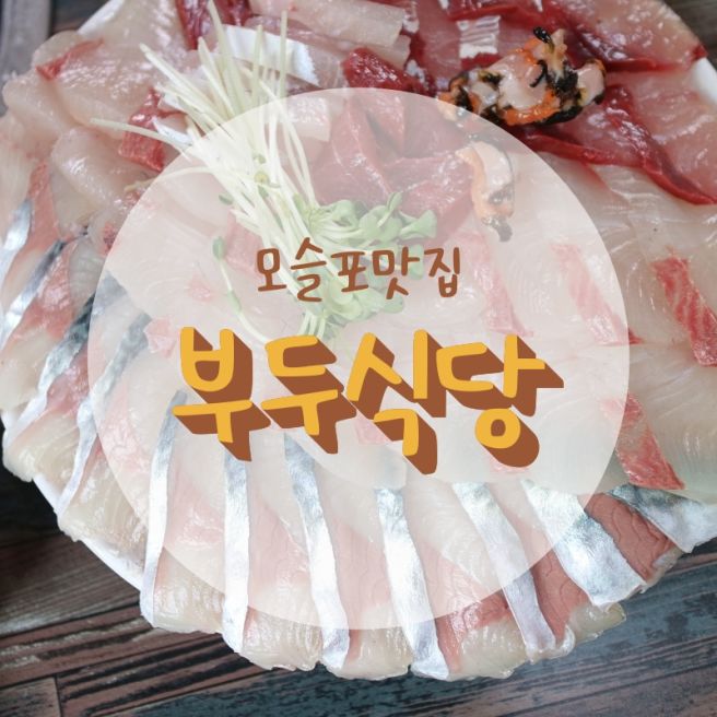 제주 횟집 맛집 제주도 모슬포 부두식당 가성비 갑!