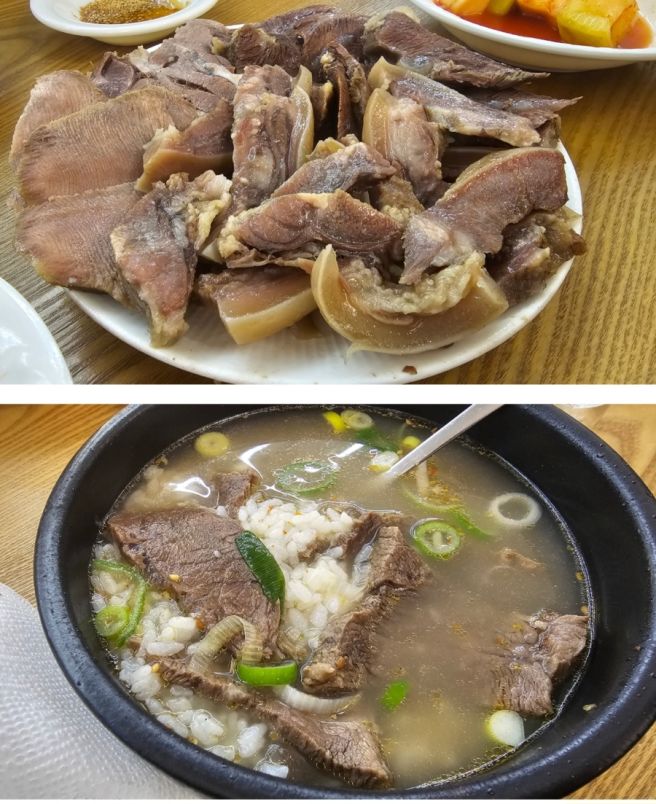 나주곰탕 맛집 비교 노안집 vs 하얀집 2026 설 연휴 방문 팁