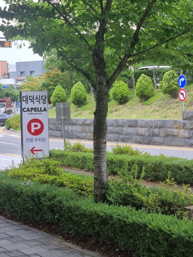 대구선지국 대덕식당 앞산맛집 선지해장국