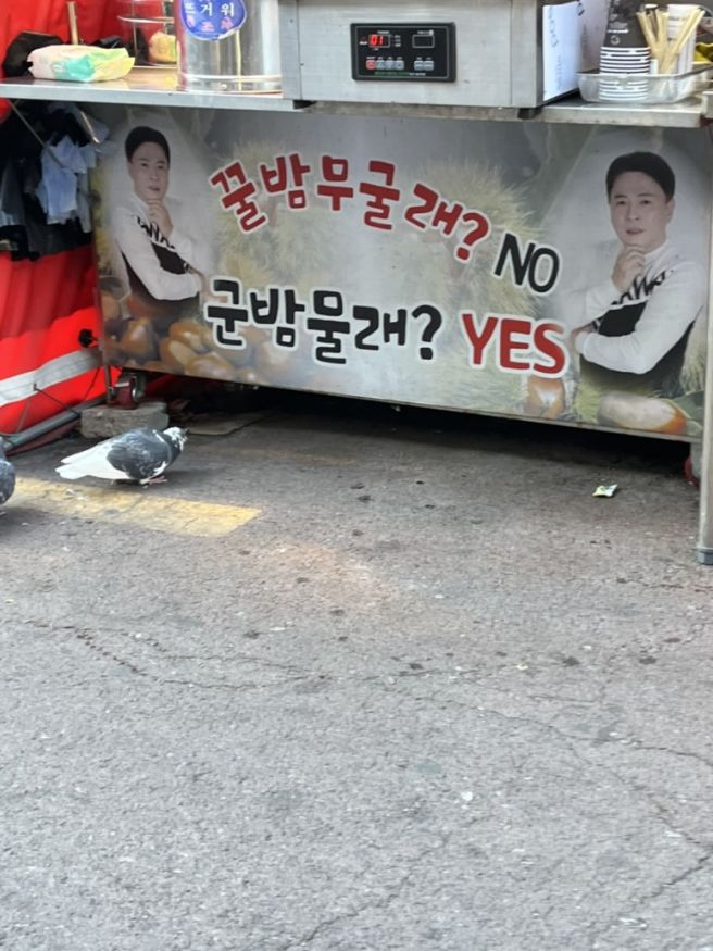 🚅겨울 대구포항경주 3일