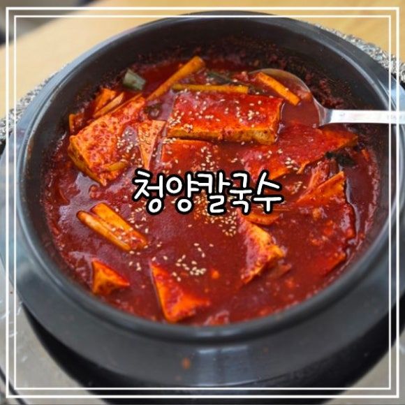 [대전 중구] 청양칼국수｜광천식당 웨이팅 대신 방문한 두부두루치기, 바지락칼국수 후기