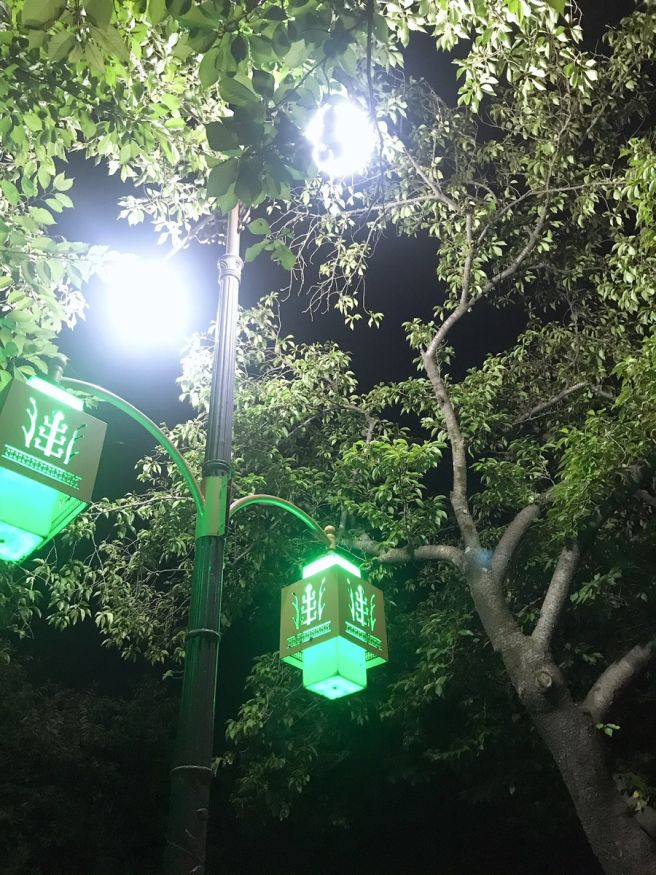 나의 여행 기록 (19년 여름 경주)