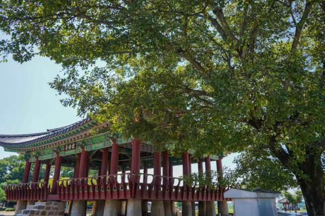 정읍 맛집 고민 없이 1순위로 찾게 되는 대일정