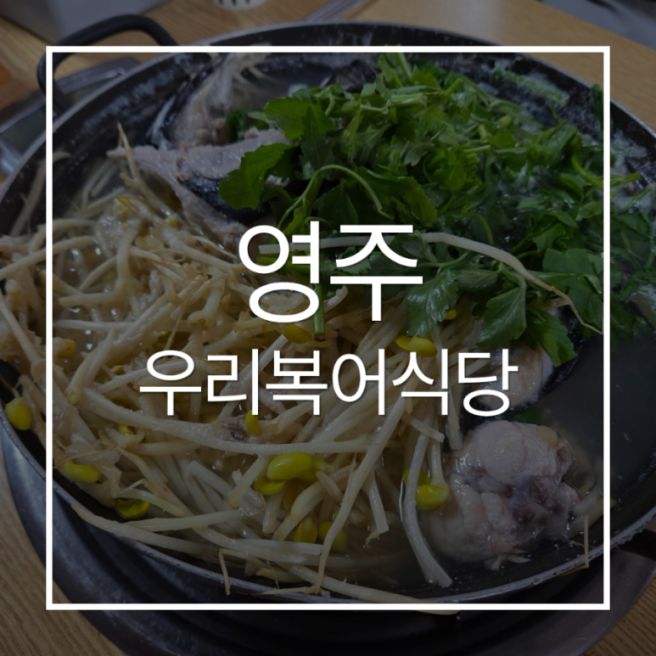 영주 맛집 우리복어식당｜아침 해장으로 먹어본 복지리, 처음 먹어본 복어요리