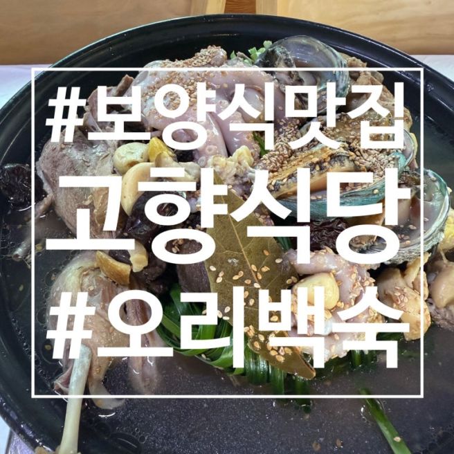 👍 양평 고향식당 | 오리백숙으로 몸보신하고 용문산·용문사 산책까지