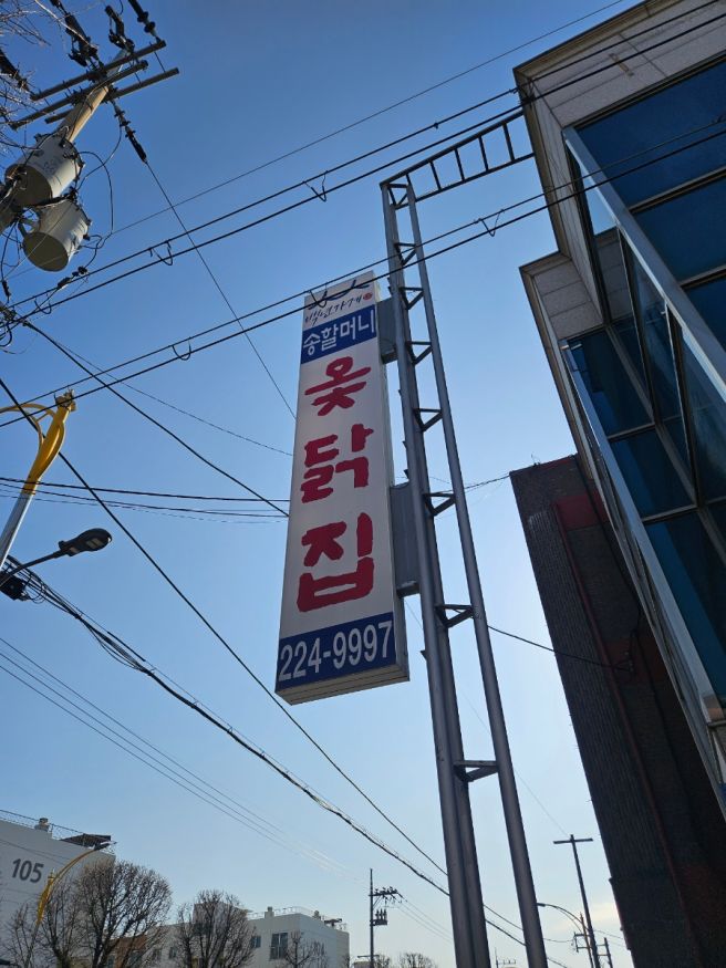 수원 세류동 맛집 송할머니옻닭 :: 내돈내산 해장 추천