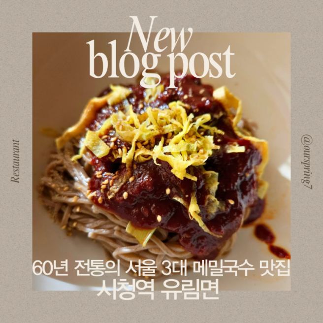 시청 맛집 유림면 | 서울 3대 메밀국수 비빔메밀 후기