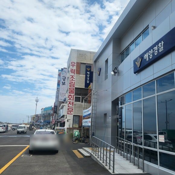 제주횟집 전복물회가 끝내주는 현지인 탑동맛집 대진횟집