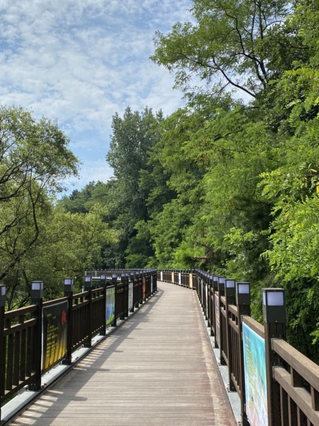 [제천] 의림지 용추폭포, 용천 막국수, 카페 약선재, 의림지 솔밭공원, 대추나무집(소고기 정식)