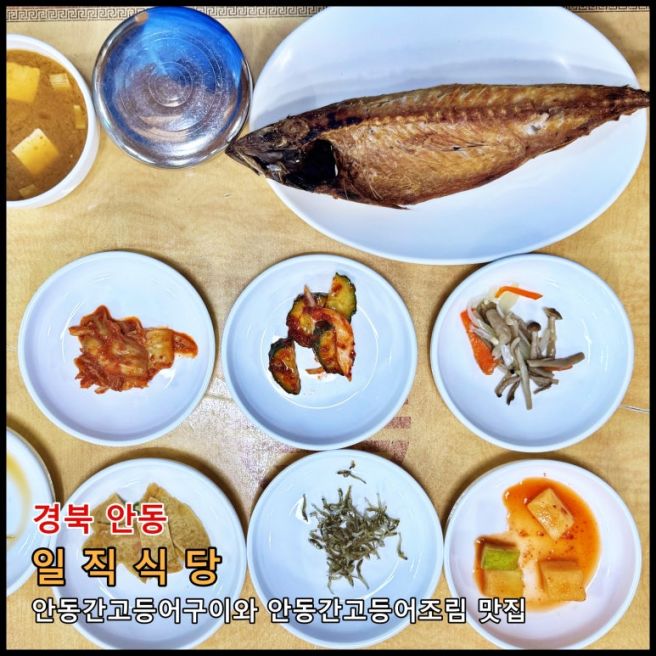 [안동] 👍️ 유명한 안동간고등어 구이, 조림 맛집 '일직식당'