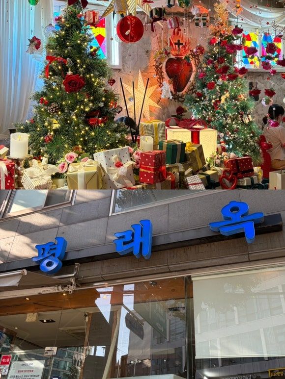 을지로 카페 맛집 | 베로나 | 평래옥