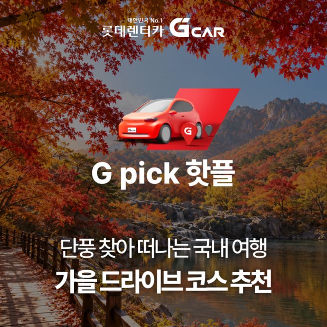 전국 가을 단풍 드라이브 코스 명소 BEST 3ㅣ경주 영주 원주 기차 여행지 갈만한 곳 추천