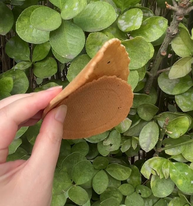 용산 디저트 김용안과자점 내돈내산 후기