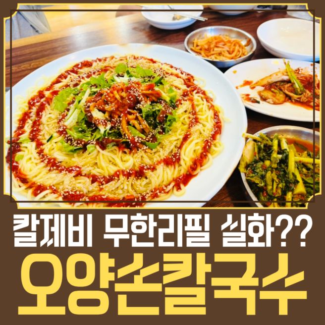 보령 오양손칼국수, 칼제비 무한리필 가능한 보령 맛집