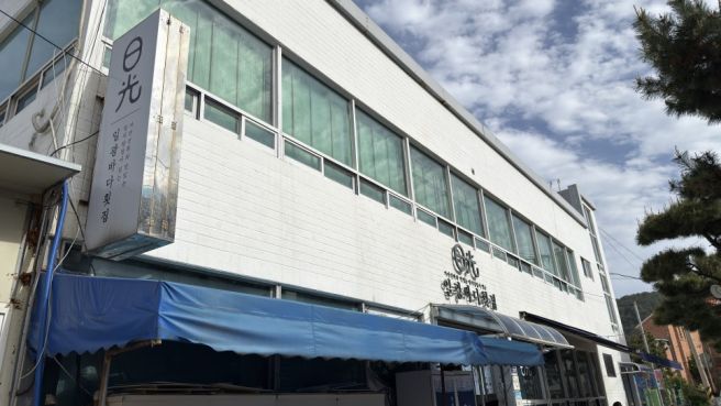 부산맛집 멸치쌈밥 기장 "일광바다횟집" 대변항 영주아줌마
