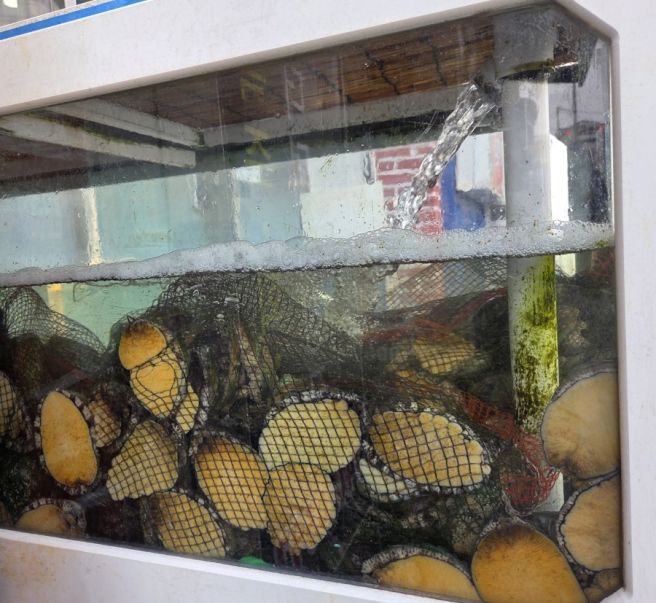 바다마루전복죽 영남식육식당 박옥희할매집원조복국 선창횟집 부산 식당 추천