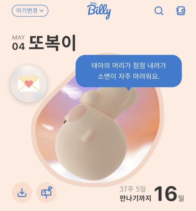 출산 전, 다 털어내보는 일상 사진