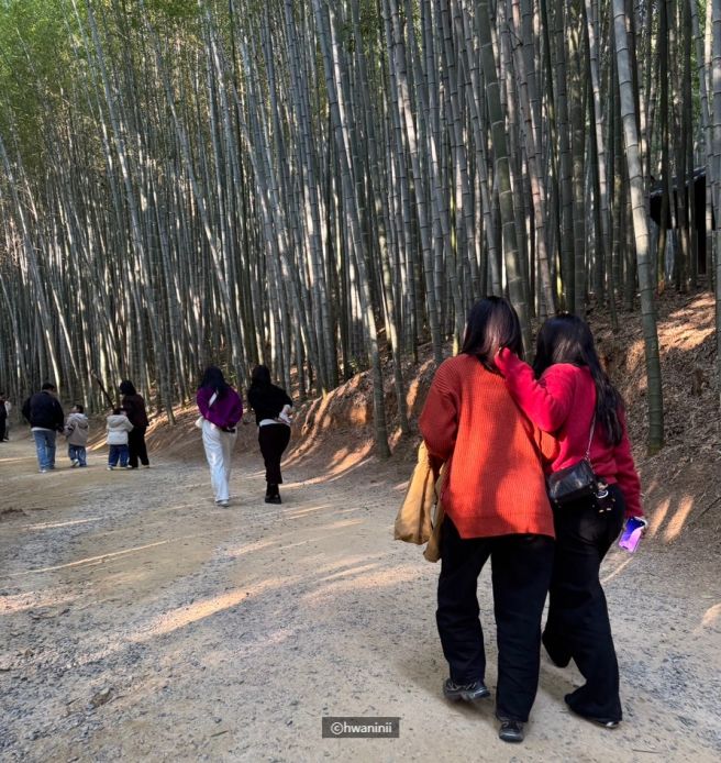 전남 담양 - 티끌이들의 가을 담양여행 1 (신식당, 죽녹원, 관방제림, 삼거리농원)