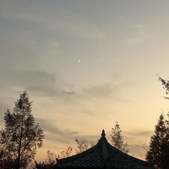 일상 속 작은 반짝임