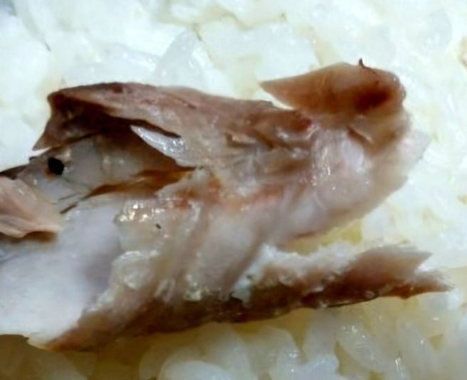 안동 대표 음식 간고등어 맛집 "일직식당 본점"