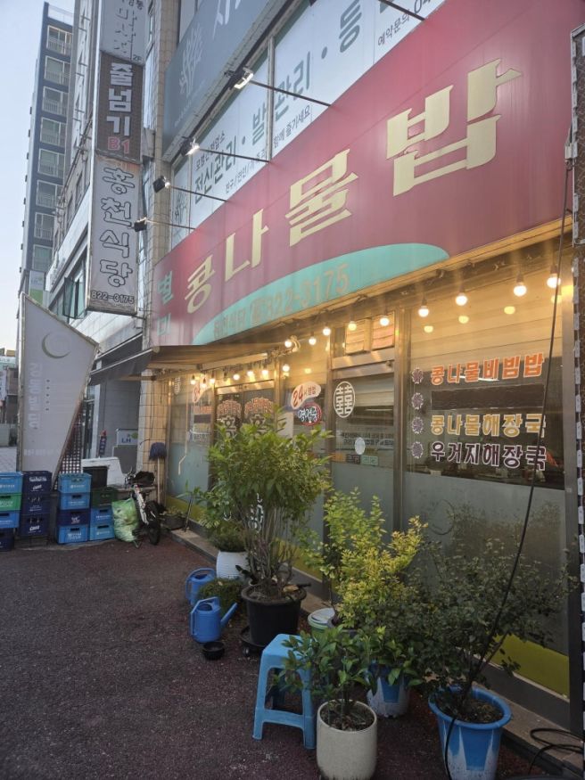 [대전 유성구] 콩나물 비빔밥 맛집 | 홍천식당, 혼밥하기 좋은 노포 식당