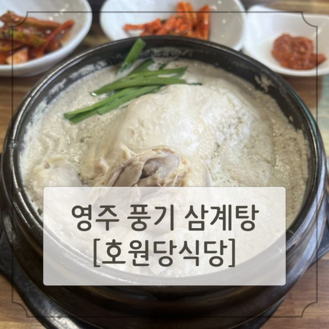 [호원당식당] 영주 풍기 풍경 좋은 삼계탕집 추천