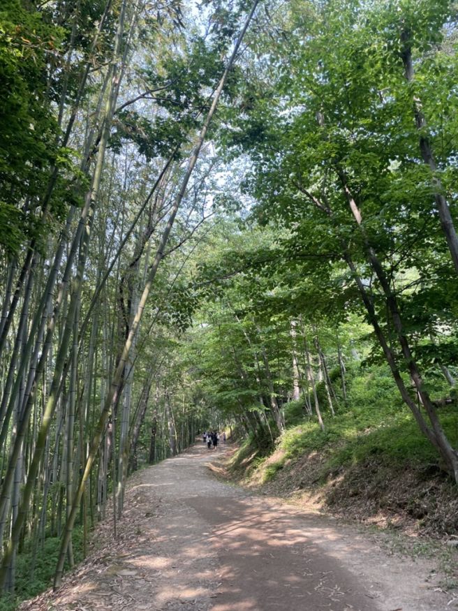 부산) 아주 짧았던 반나절 부산여행